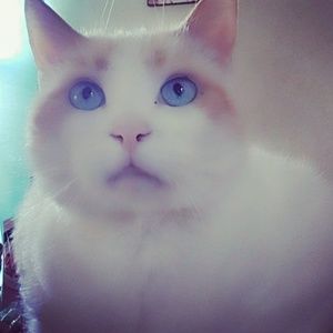 Meet your Posher, Jamie